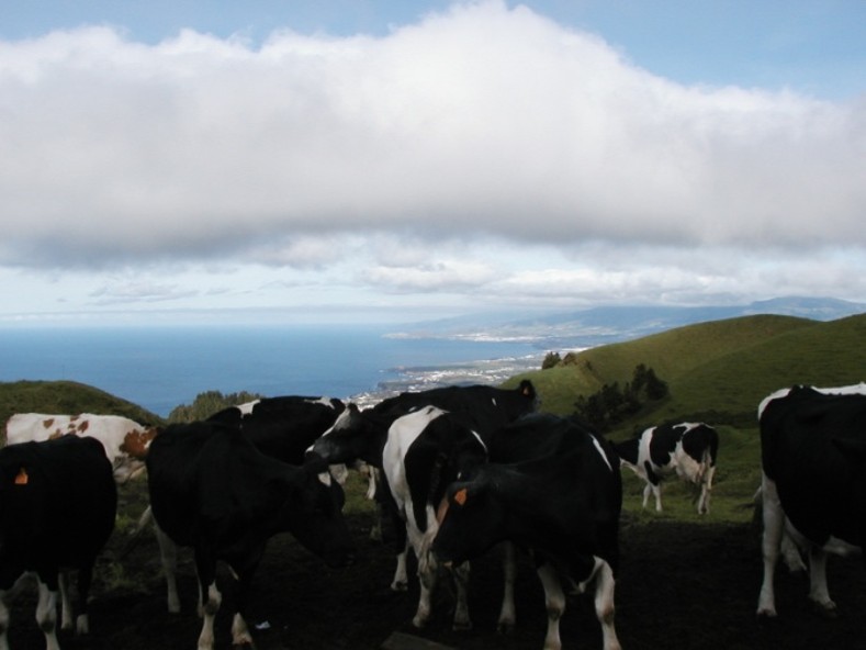 Support til biogasanlæg