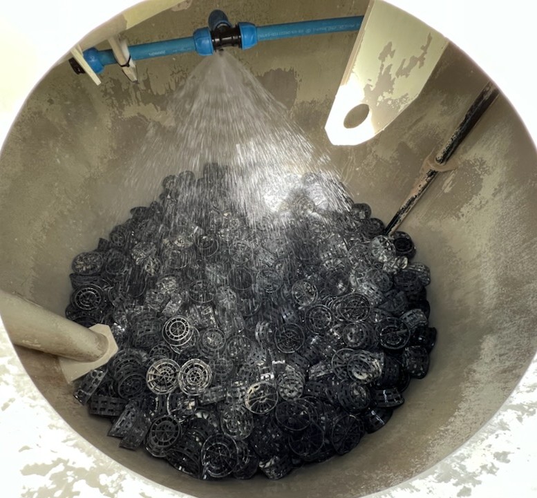 Biologisk svovlrenser