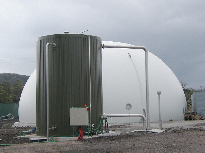 Biologisk svovlrenser